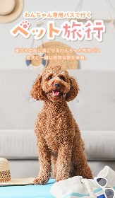 わんちゃん専用バスで行くペット旅行